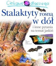 Ciekawe dlaczego stalaktyty rosnął w dół?