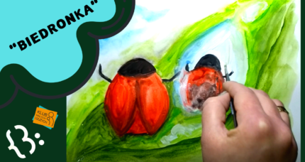 Ilustrowanki: „Biedronka”