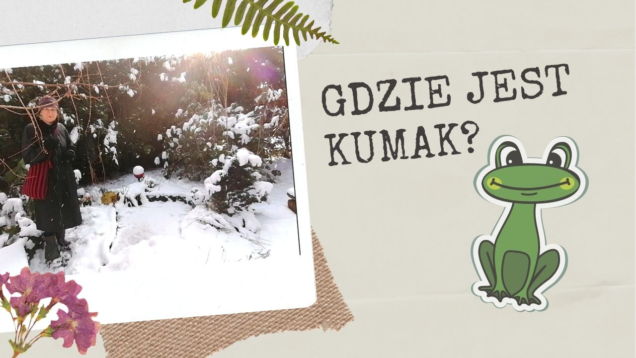 Zdjęcie kobiety w śniegu. Grafika żaby i napis: Gdzie jest Kumak?