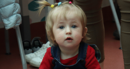 SENSOTEKA – na&nbsp;owadziej łące